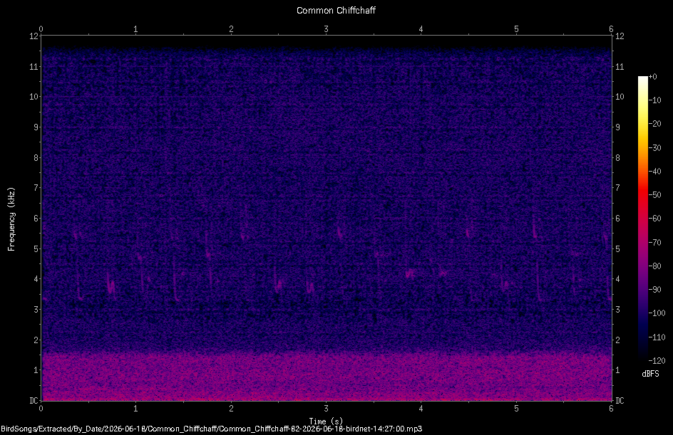 Spectrogram
