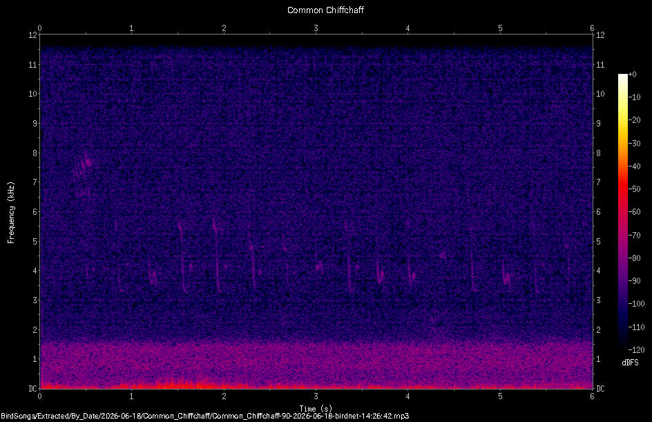 Spectrogram