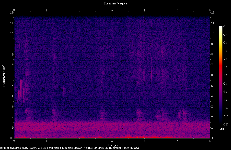 Spectrogram