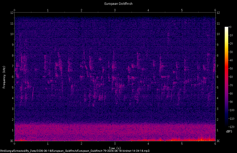 Spectrogram