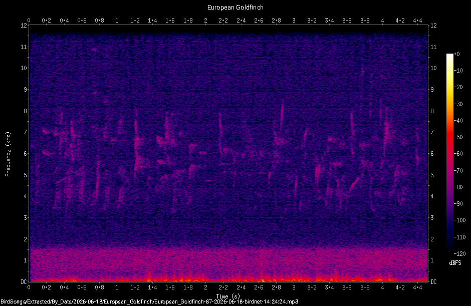 Spectrogram