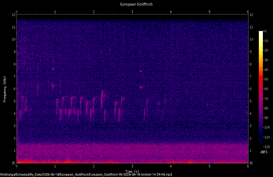 Spectrogram