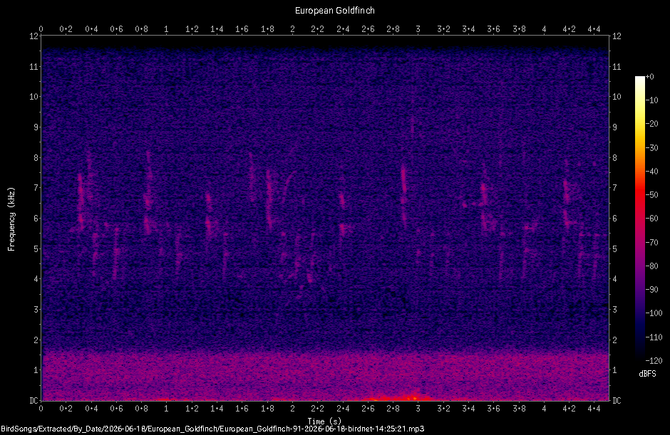 Spectrogram