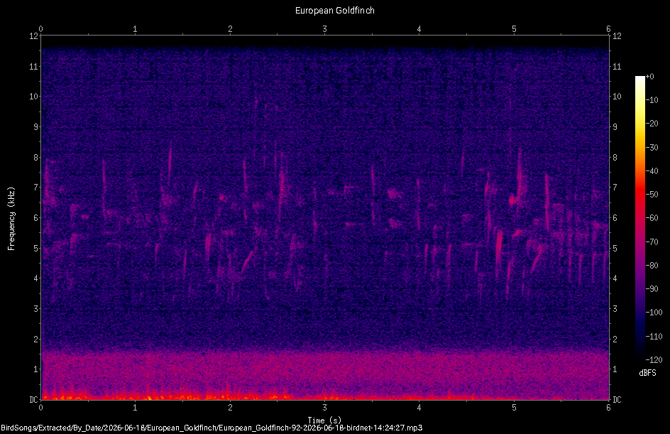 Spectrogram