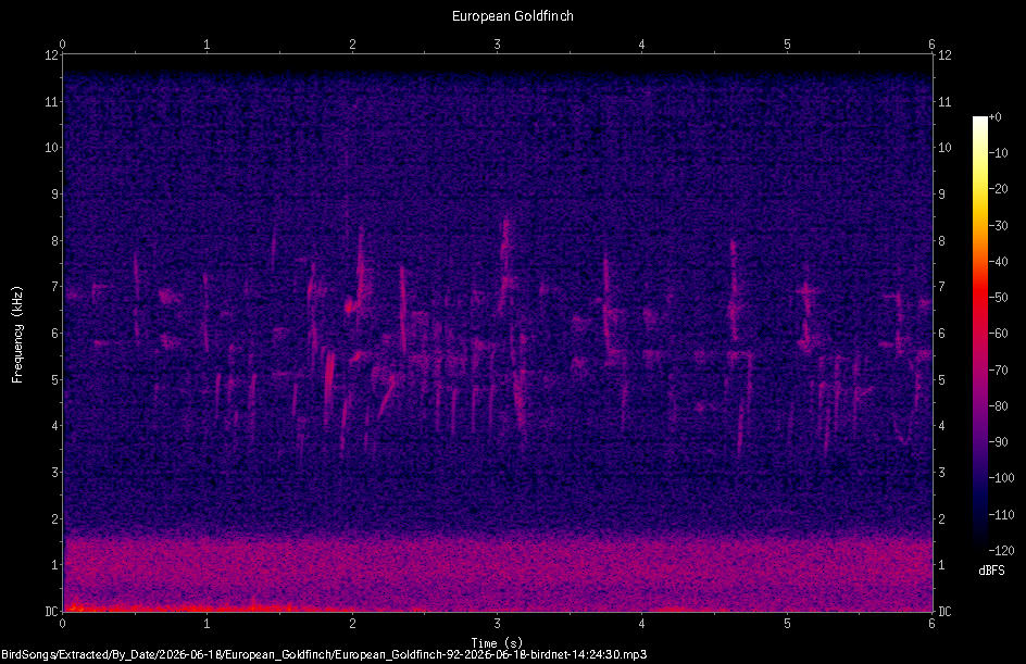 Spectrogram