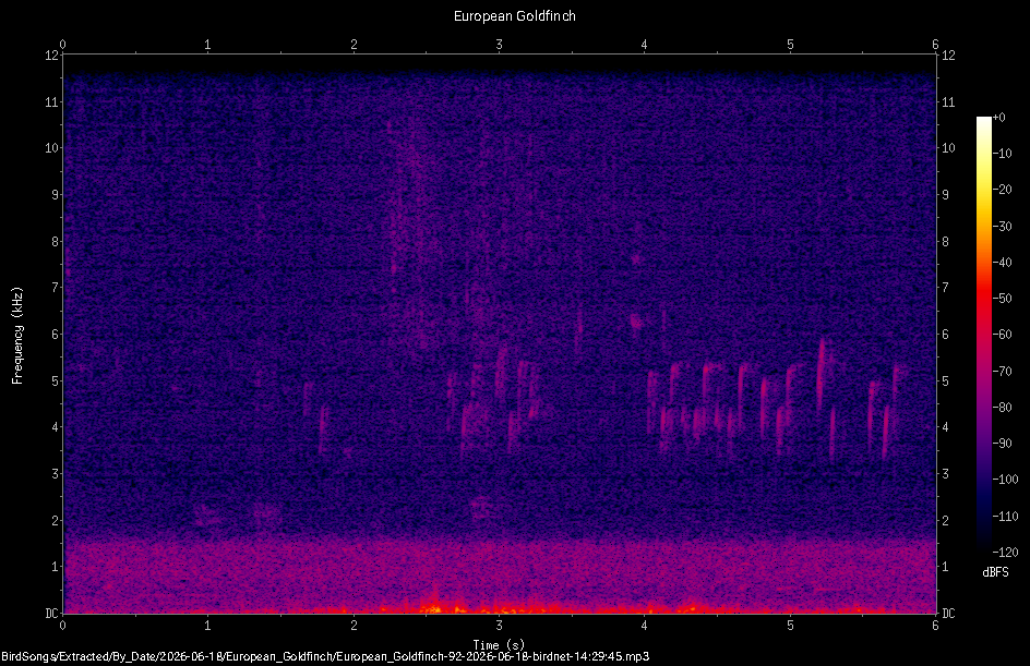 Spectrogram
