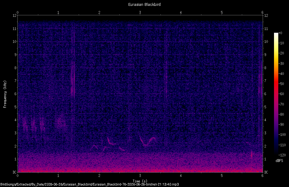 Spectrogram