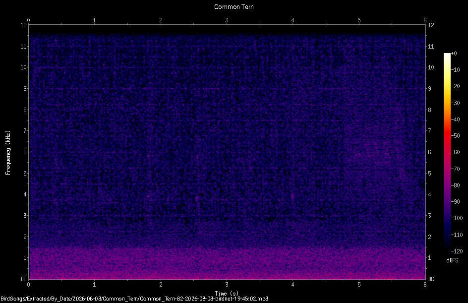 Spectrogram