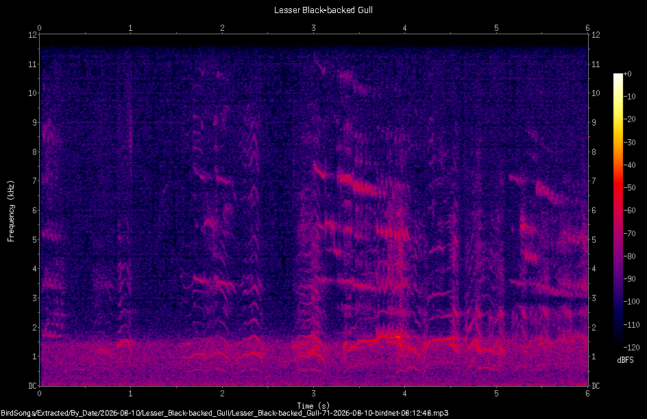 Spectrogram