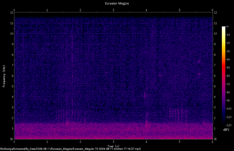 Spectrogram