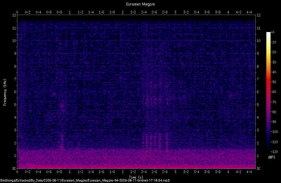 Spectrogram