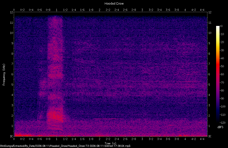 Spectrogram