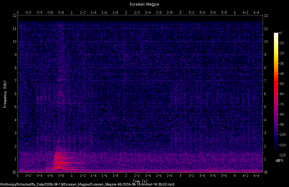 Spectrogram