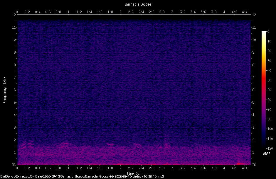Spectrogram