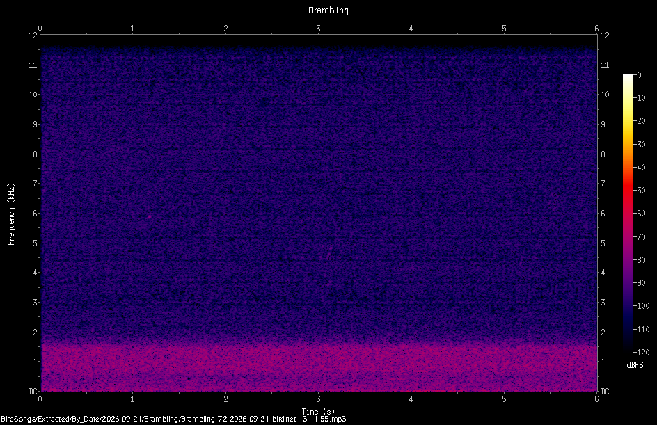 Spectrogram