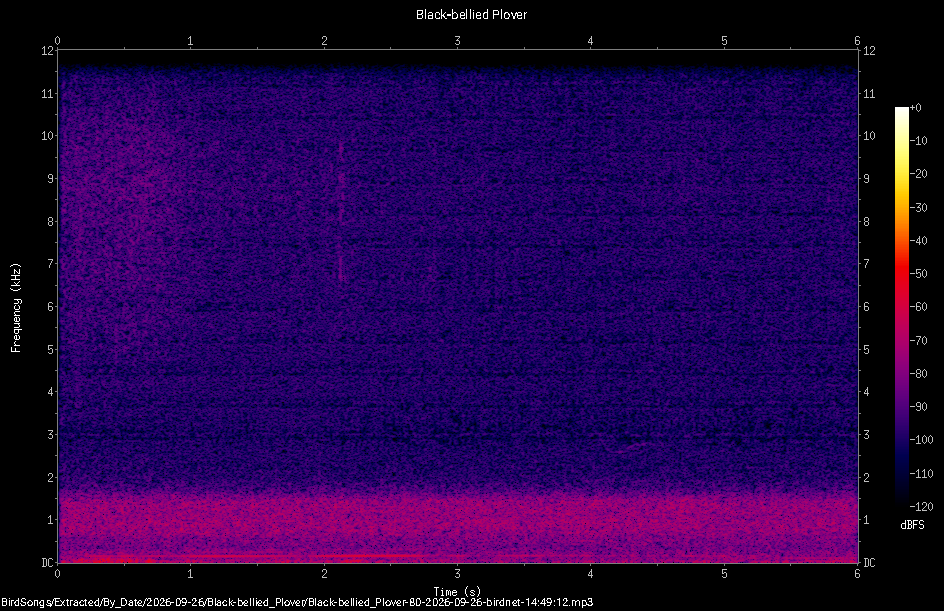 Spectrogram