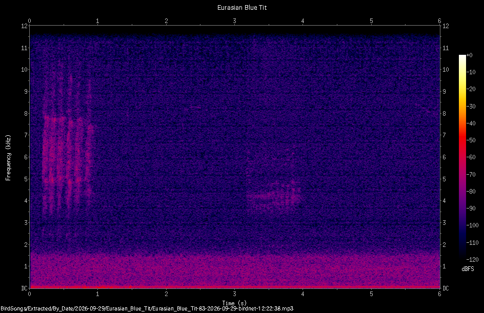 Spectrogram