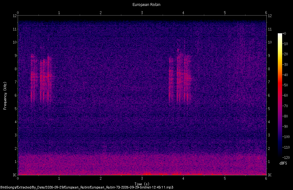 Spectrogram