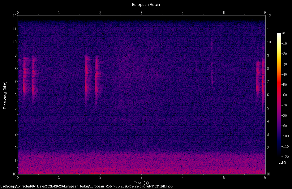 Spectrogram