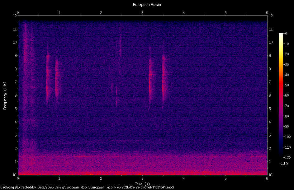 Spectrogram