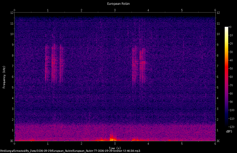 Spectrogram