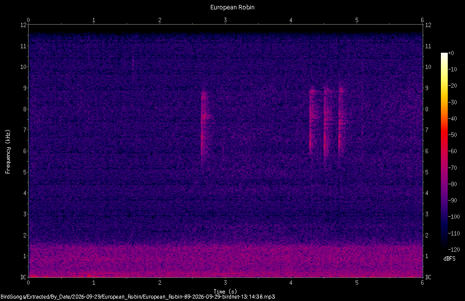 Spectrogram