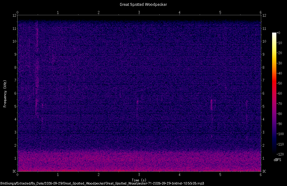 Spectrogram