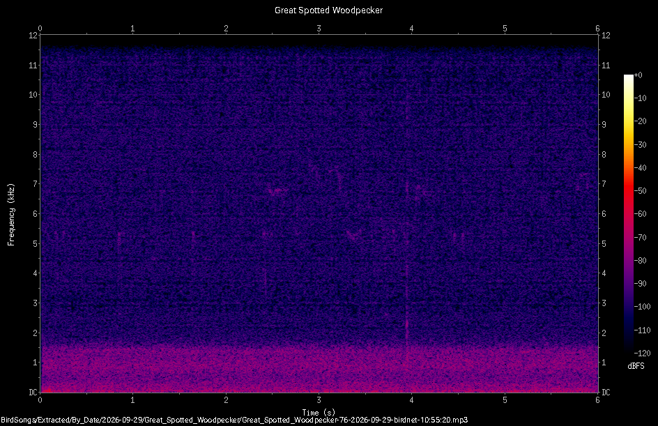 Spectrogram