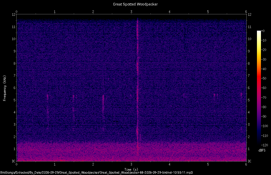 Spectrogram