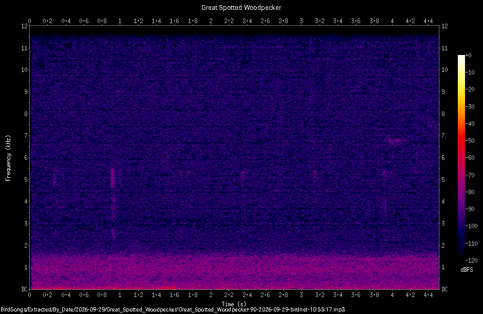 Spectrogram