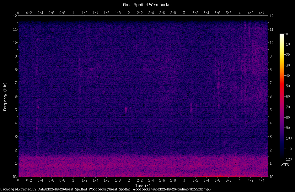 Spectrogram