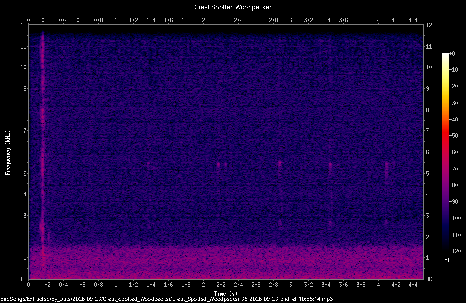 Spectrogram