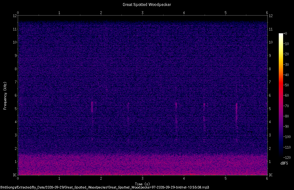 Spectrogram