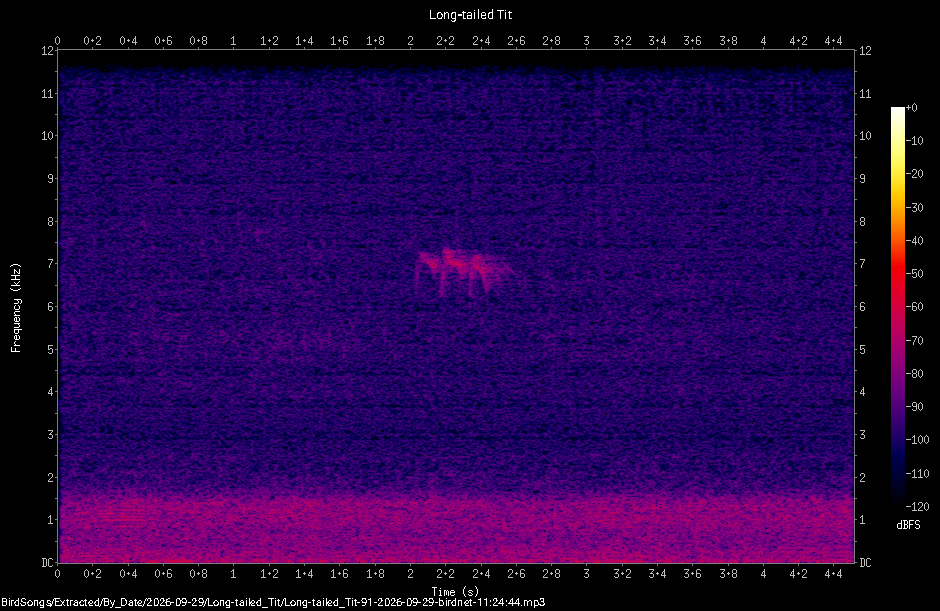 Spectrogram